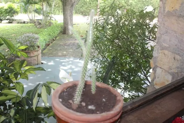 Hotel Bristol Aeropuerto