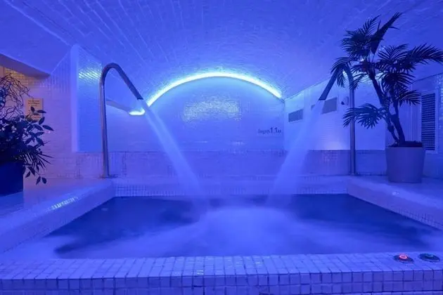 Bristol Harbour Hotel & Spa - Havuz