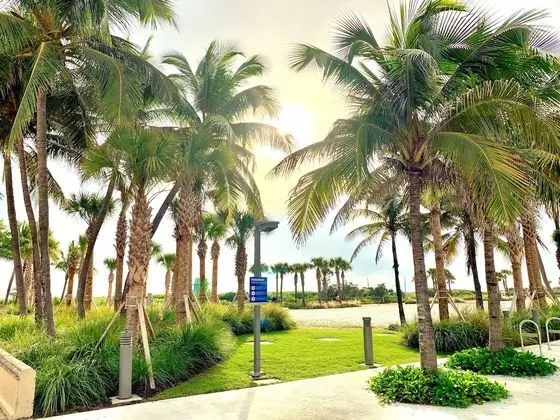 Broadmore Miami Beach - Plaj