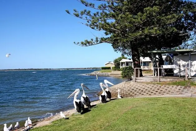 Broadwater Tourist Park - Plaj