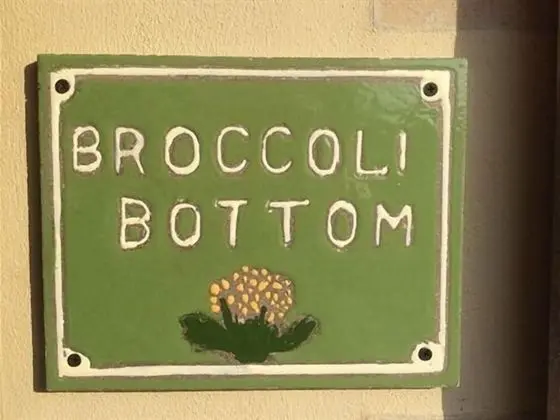 Broccoli Bottom - Dış Mekan