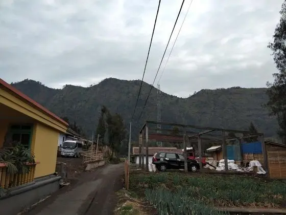 Bromo Authentic Homestay