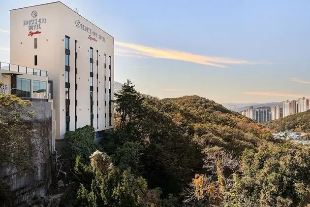 Brown Dot Hotel Signature