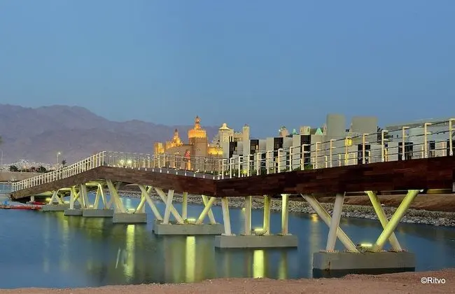 Brown Eilat