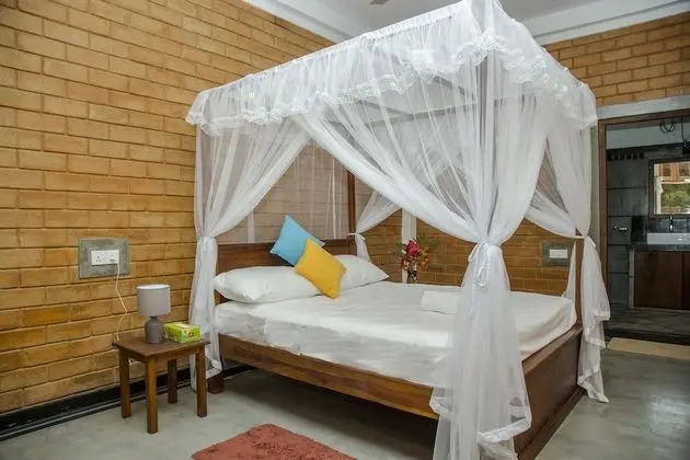 Brown House - Öne Çıkan Resim