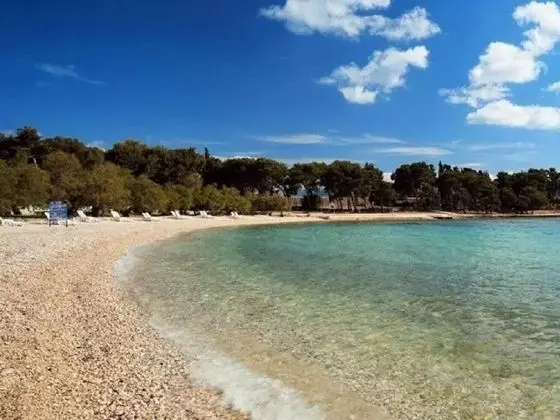 Brti - 250 m From Beach - A1 Plavi - Plaj