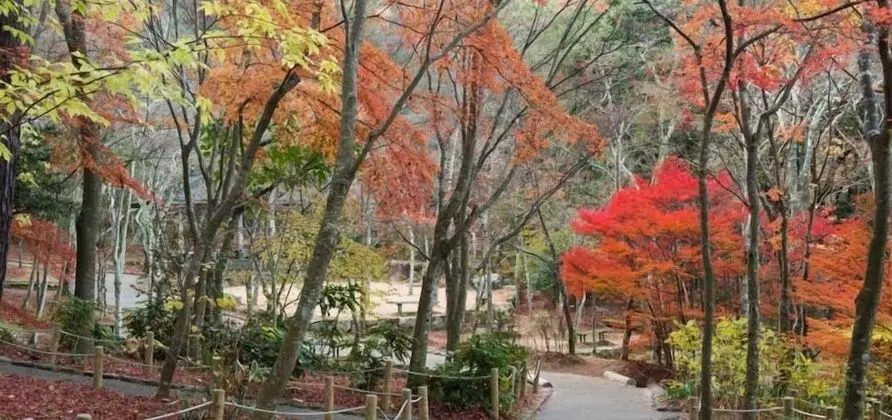Brücke hostel&cafe ARIMA Kobe - Dış Mekan