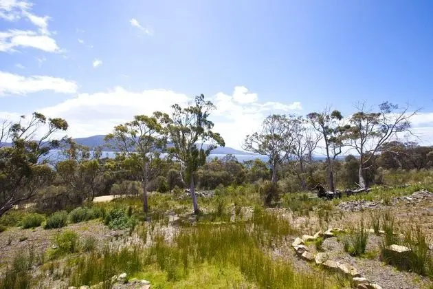 Bruny Island Escapes