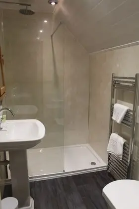Bryn Eisteddfod B&B - Banyo Tipleri