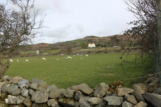 Bryn Eisteddfod B&B - Dış Mekan