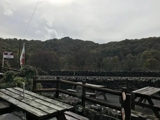 Bryn Glo