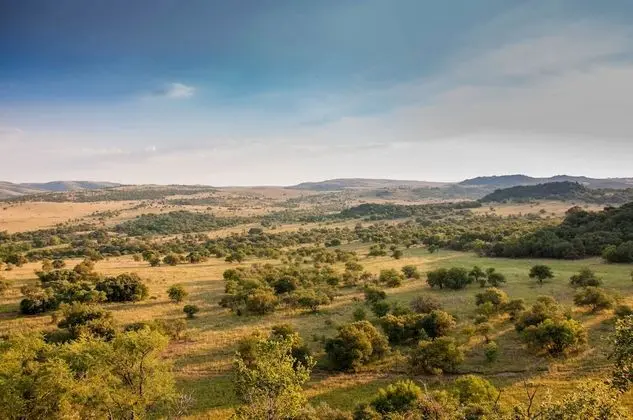 B'sorah Luxury Tented Camp - Dış Mekan