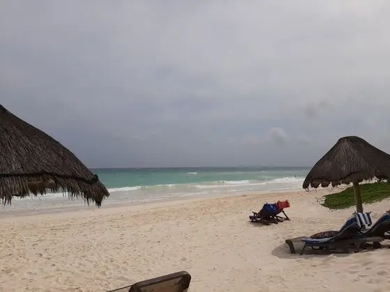 BT LIVE TULUM