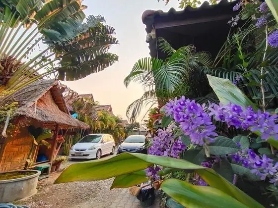 Bua Patumma Resort - Dış Mekan