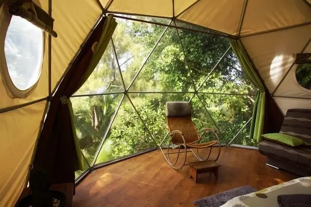 Bubble Dome Village- Glamping - Oda Düzeni