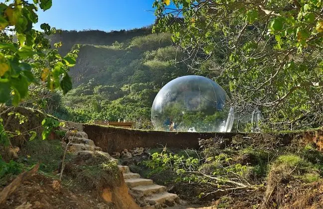 BubbleHotelBali - Lobi