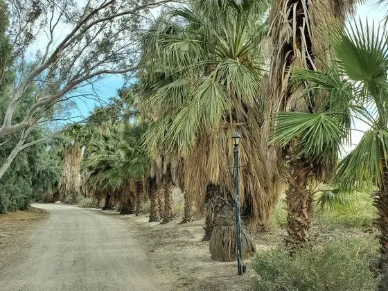 Bubbling Wells Oasis - Dış Mekan