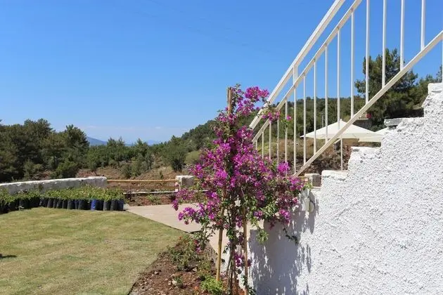 Bubo Faralya Suite Hotel (Halal Consept) - Dış Mekan