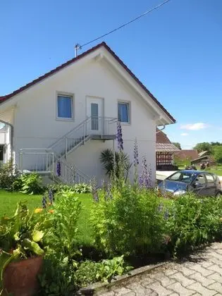 Buche - Lobi