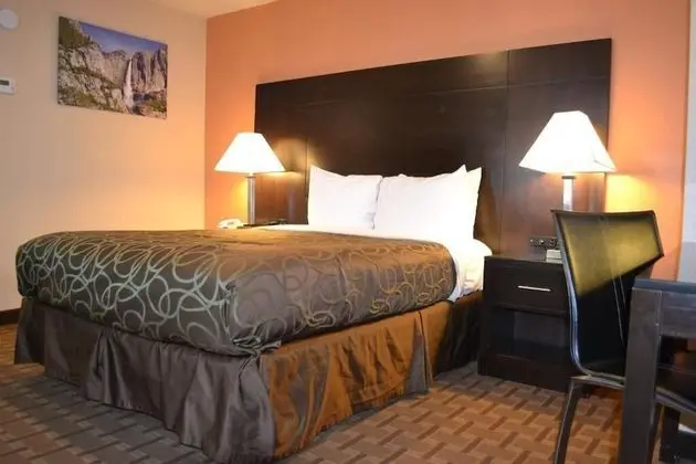 Buck Meadows Lodge - Oda