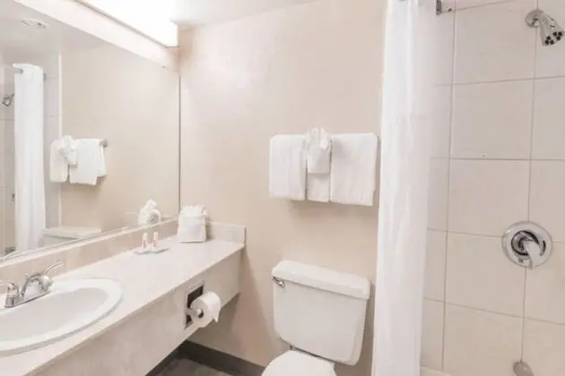 Buckeye Inn near OSU Medical Center, Columbus OH I-71 by OYO - Banyo Tipleri