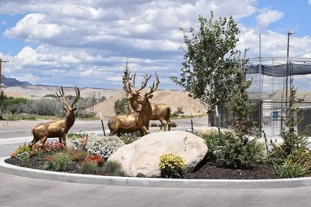 Buckhorn RV Park and Resort - Dış Mekan