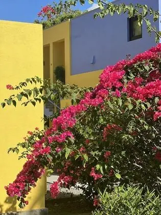 Buckingham Place - Dış Mekan