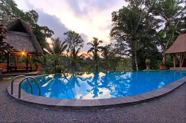 Bucu View Ubud Resort - Havuz