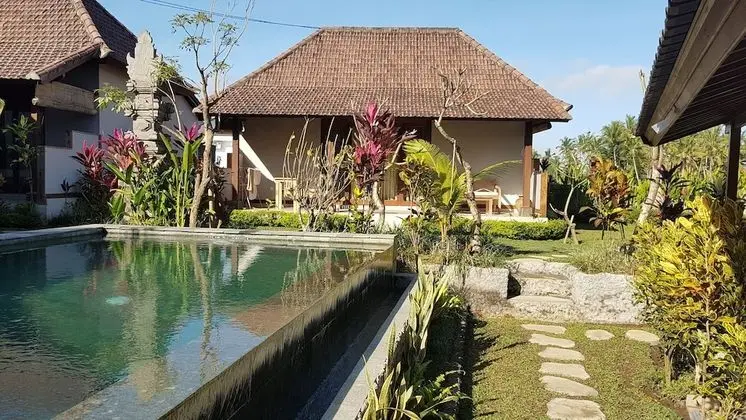 Buda Cottage Ubud - Havuz