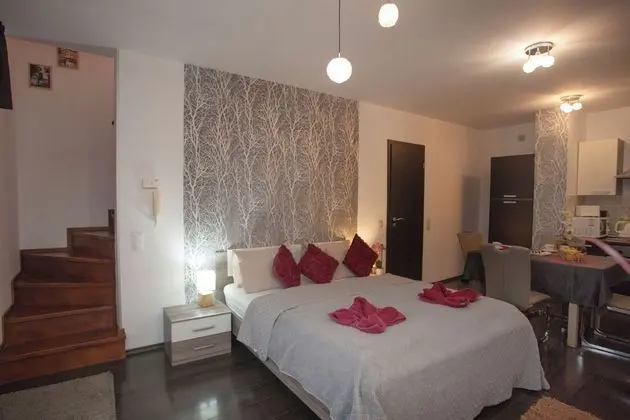 Budapest Center Residence - Genel