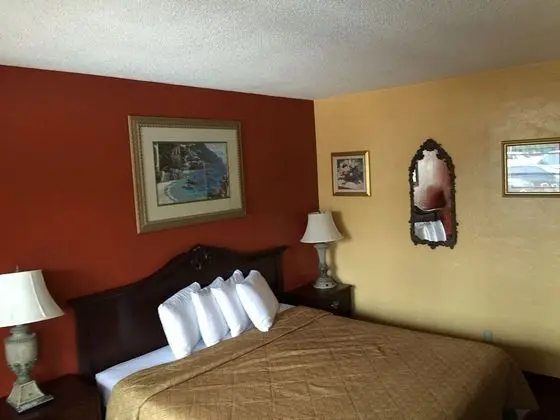 Budget Inn St Petersburg - Oda