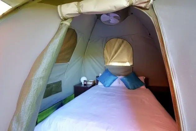 Budget Tented Village at Urban Glamping - Oda
