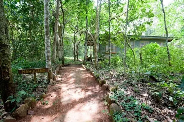 Budongo Eco Lodge - Dış Mekan
