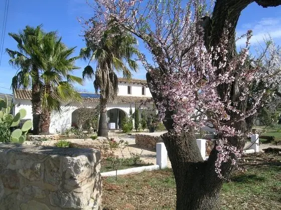 Buena Idea - Adults Only