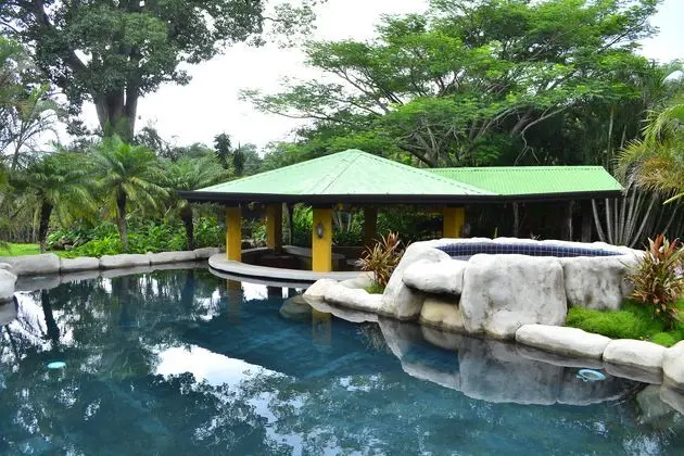 Buena Vista del Rincon Hotel & SPA - Havuz