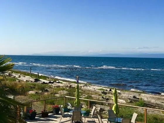 Buena Vista by the Sea - Plaj