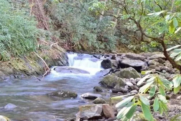 Buffalo Creek Bed & Breakfast - Dış Mekan