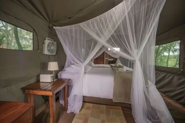 Buffalo Rock Tented Camp - Oda