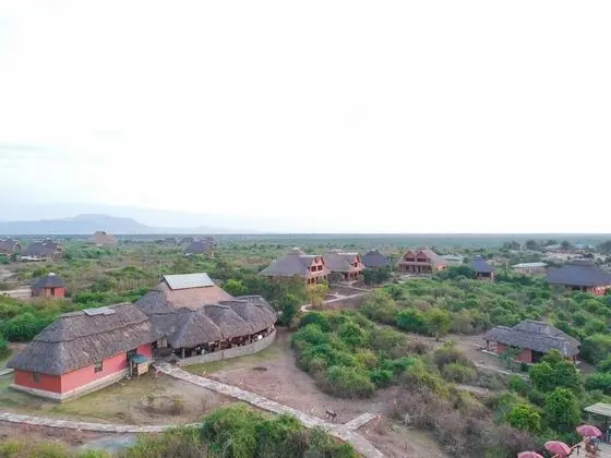 Buffalo Safari Lodge