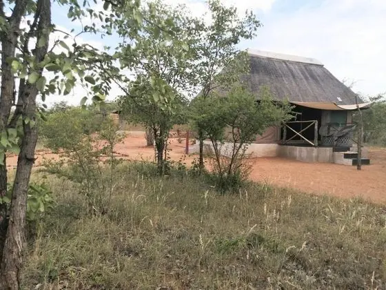 Buffalo Tented Lodge