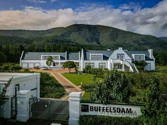 Buffelsdam
