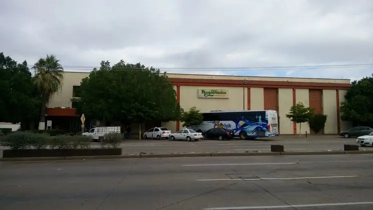Bugambilia Hermosillo - Genel