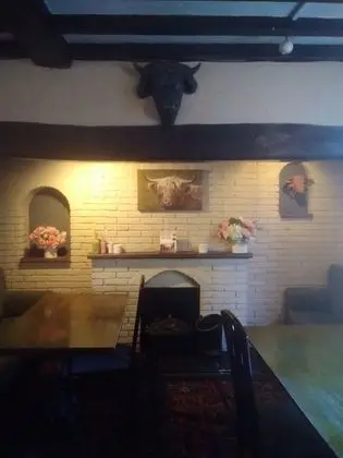 Bulls Head - Lobi