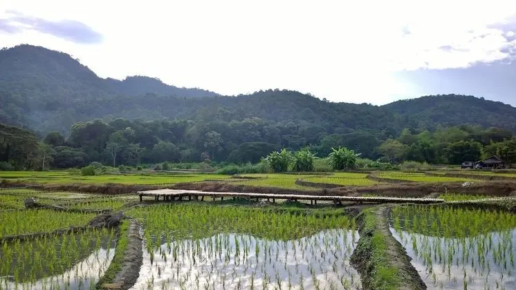 Bulun Buri Resort
