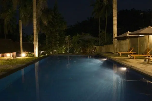 Bumi Aditya Hotel - Havuz