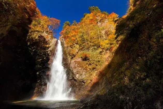 Bunano Sato Shirakamikan - Dış Mekan