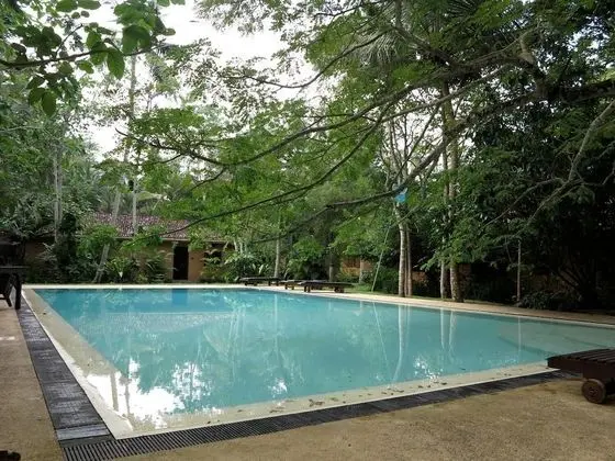 Bungalow Sud - Havuz