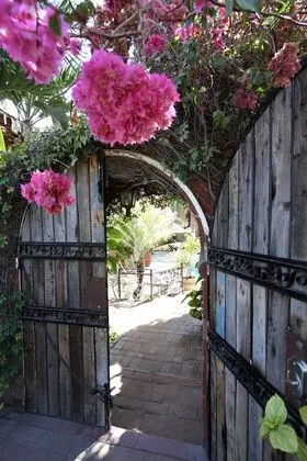 The Bungalows Hotel - Dış Mekan