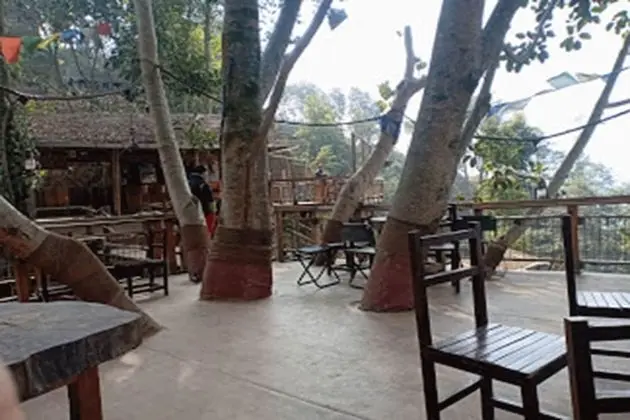Bunjungle Adventures - Yerinde Yemek