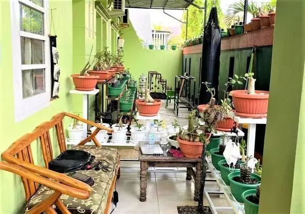 Buntusu Guest House - İç Mekan